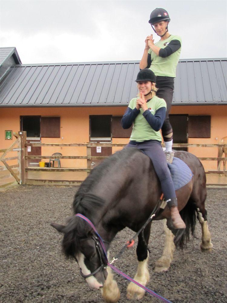 Eclipse Holiday Homes & Adventure Centre Kenmare Exteriör bild