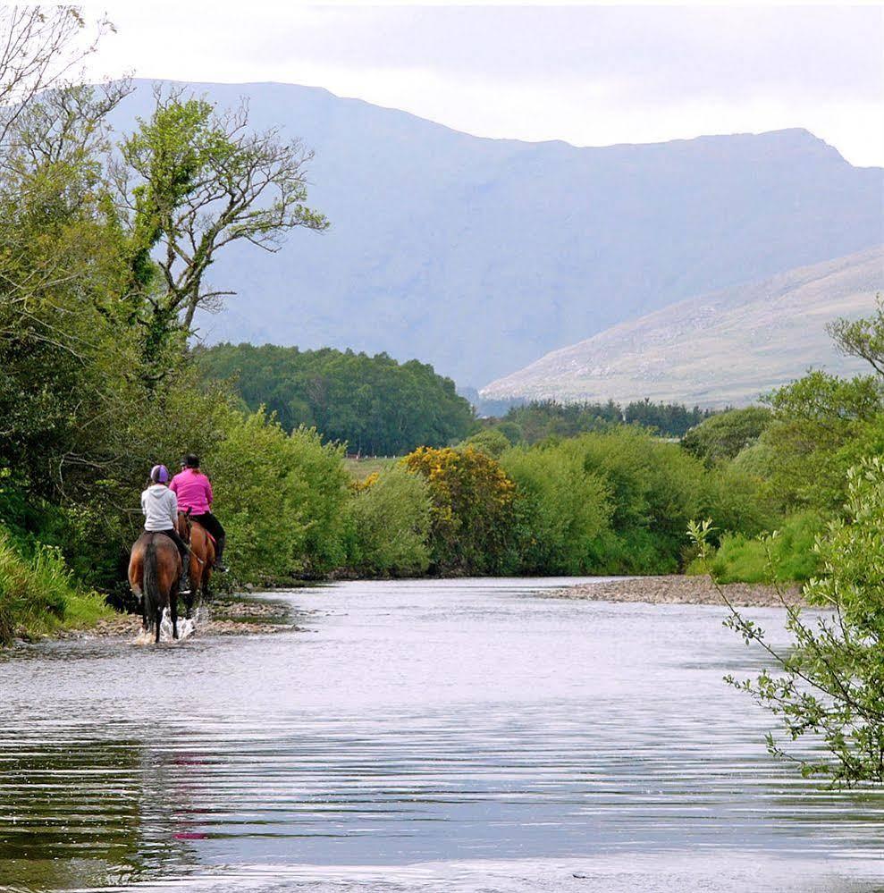 Eclipse Holiday Homes & Adventure Centre Kenmare Exteriör bild